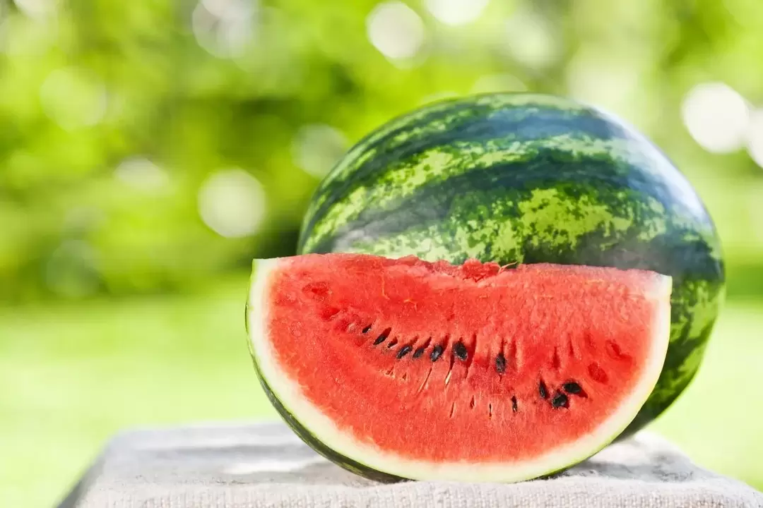 vandmelon til vægttab