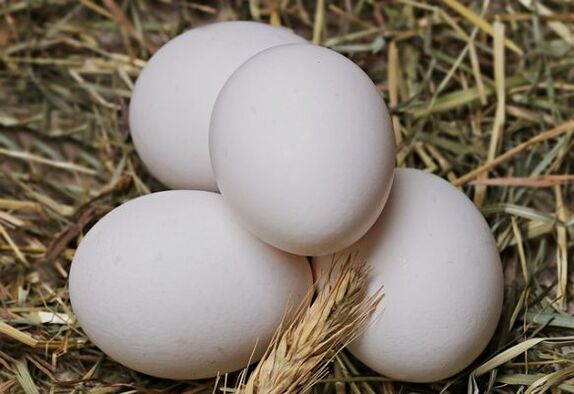 Æggediæten går ud på at spise hønseæg dagligt. 