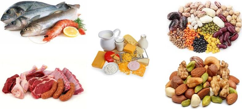 proteinprodukter på en proteindiæt